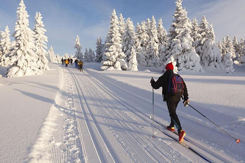 Ferienwohnung Graubunden Bonaduz Esterno foto