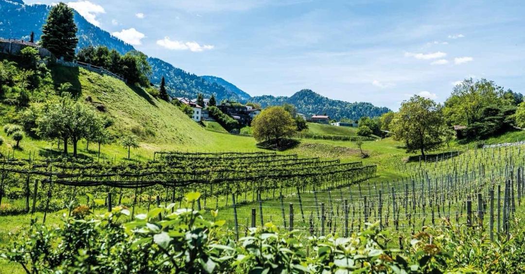 Ferienwohnung Graubunden Bonaduz Esterno foto